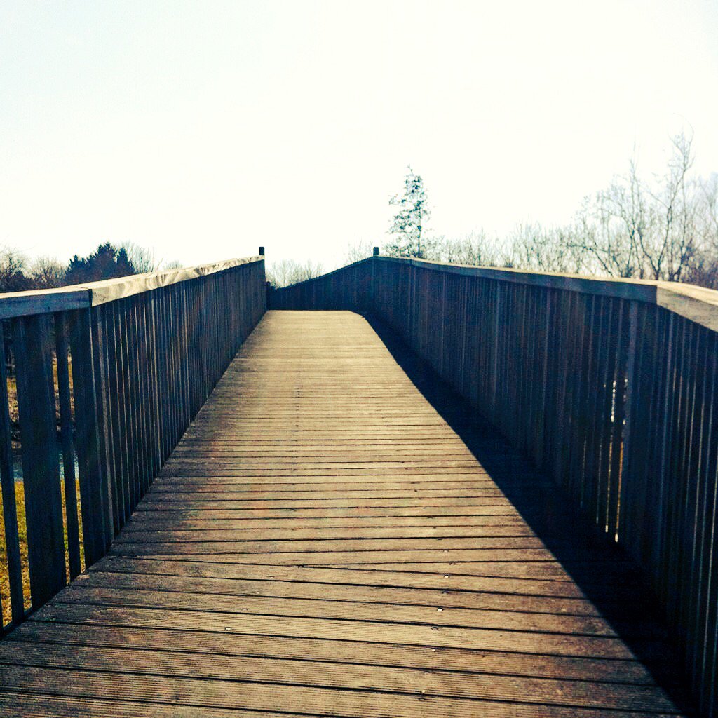 What is love? Love is, to paraphrase Rumi, the bridge between you and everything...Wishing you love-ly dreams🌻