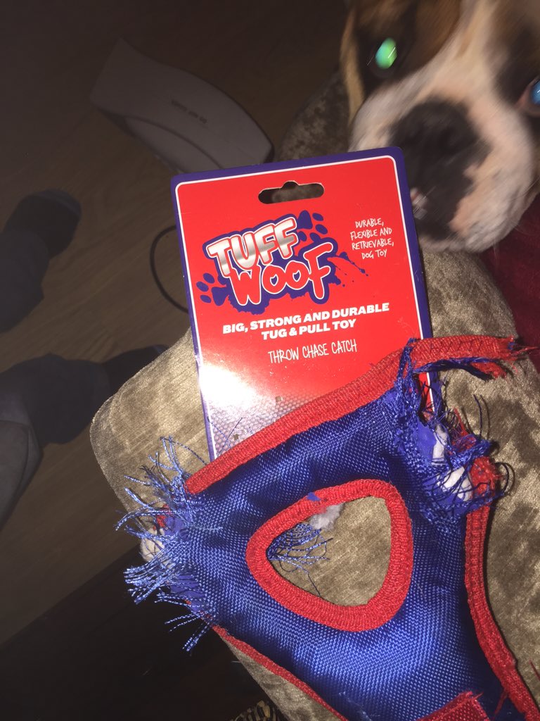 james_mannthfc's tweet photo. @homebargains bought this supposed strong durable toy today less than 2 hours play #fallenapart https://t.co/TOAuBOEuAI