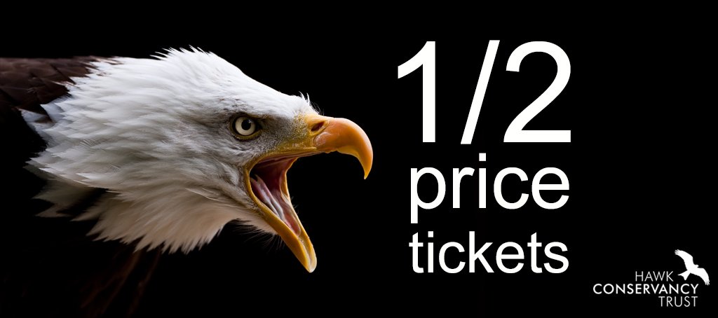 HawkConservancy's tweet photo. Final day of our #flashsale. Get yours before it's too late: https://t.co/xhU0dvIuFH https://t.co/FNPFXOnYtO