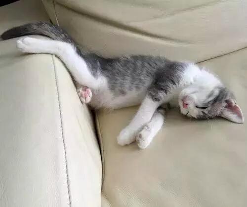 AkeemSharyzal's tweet photo. Percaya lah tidur lagi sedap. https://t.co/JYaJbGENkh