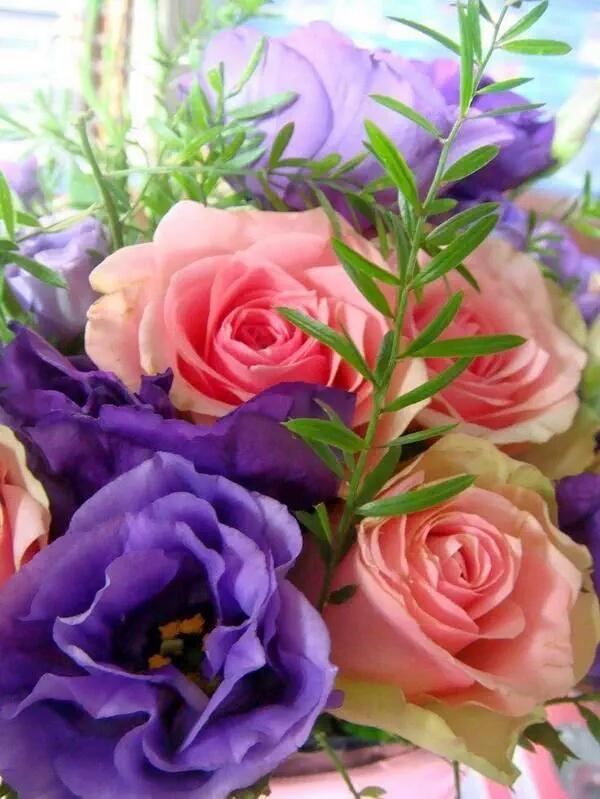 Enlace permanente de imagen incrustada