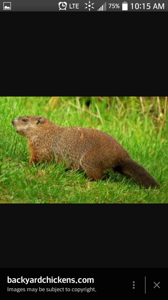 bigassallen's tweet photo. When bae is pissed @i_am_a_chode https://t.co/B1ccOzaxNR