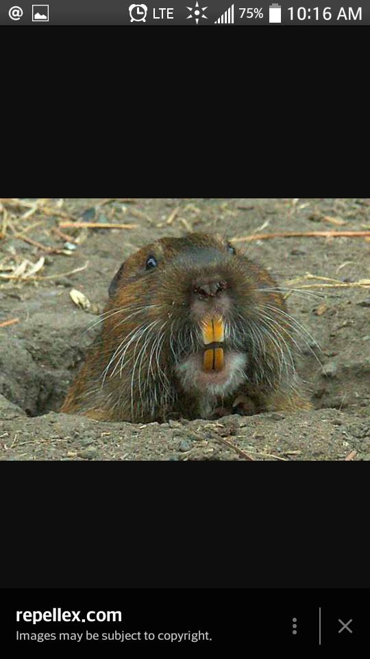 bigassallen's tweet photo. When bae sees you hit your ecig @i_am_a_chode https://t.co/5pUDfgnDPI