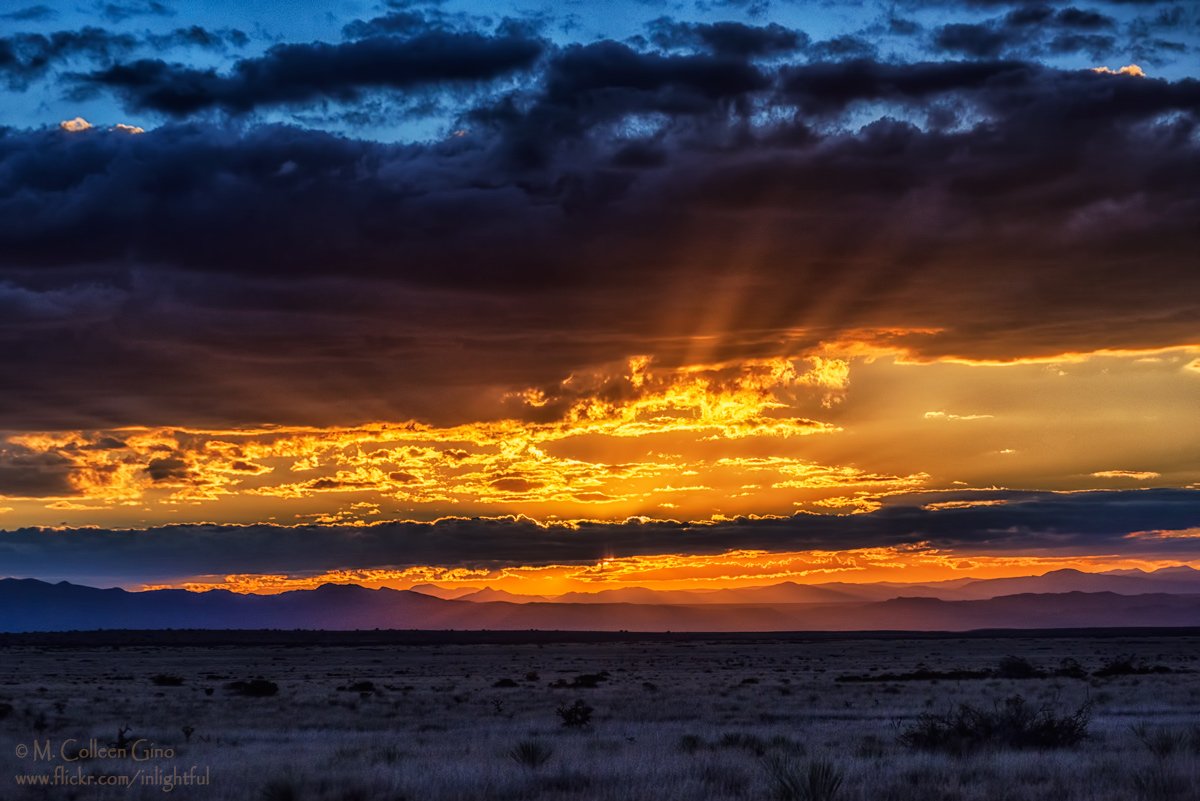 inlightful's tweet photo. #Sunset on the #Sevilleta Refuge last night
#nmwx #NewMexicoTRUE #PureNM #ItsAmazingOutThere #SocorroCounty https://t.co/TZK2sE4fYz