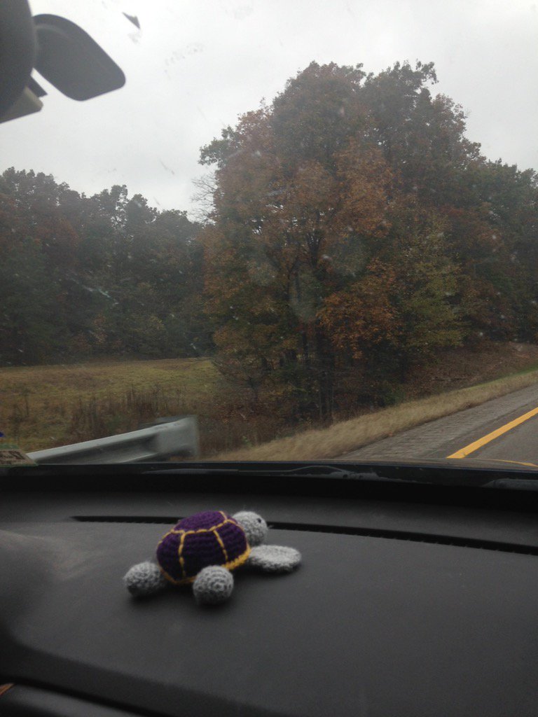 jessiemessie132's tweet image. Homeward bound!!!! #RegionCTurtle #UNTSWE