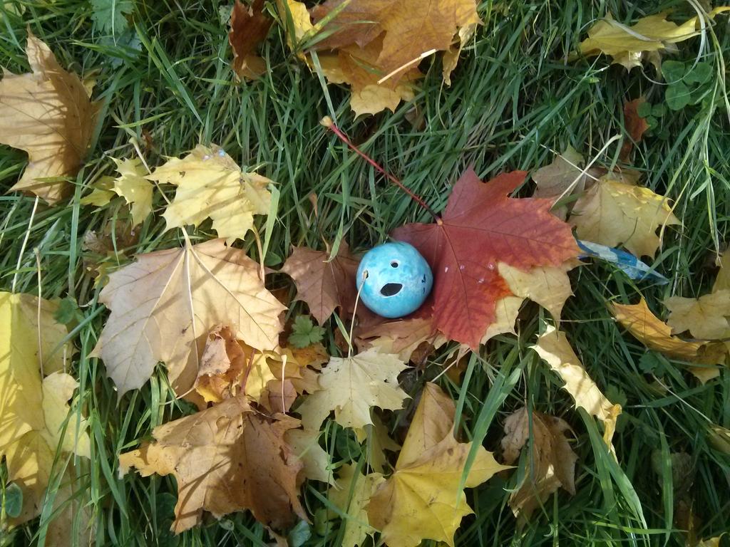 originalbobshop's tweet photo. Leaf it out Bob. https://t.co/tUkIDc3GZl