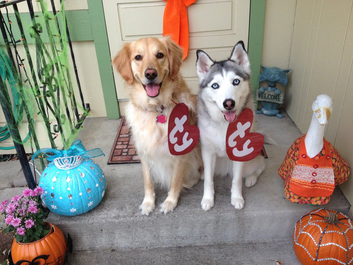 Couponprinces's tweet image. Olivia &amp;amp; Chloe dressed up as Beanie Babies for Halloween! #BlogPawsHalloween