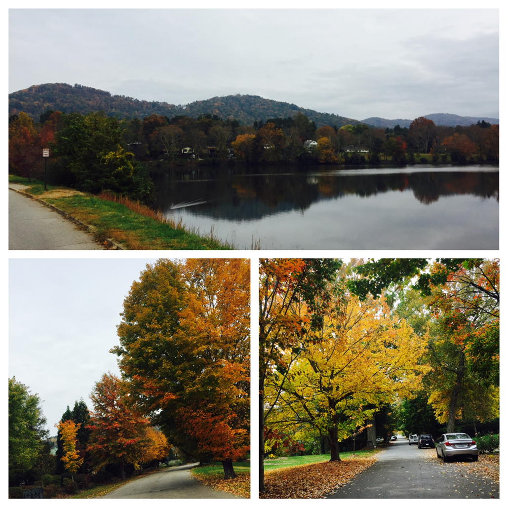 armorrun's tweet photo. Some of the gorgeous views of our #armorrun 10k route! Breathtaking. https://t.co/daAaYsAlnI #run828 #runavl https://t.co/9KUF2REhMr