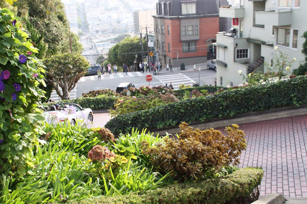 GeogAttwell's tweet photo. Loved San Francisco! On our way to Yosemite this morning. #swusa15 https://t.co/xYZ0QJaPqJ