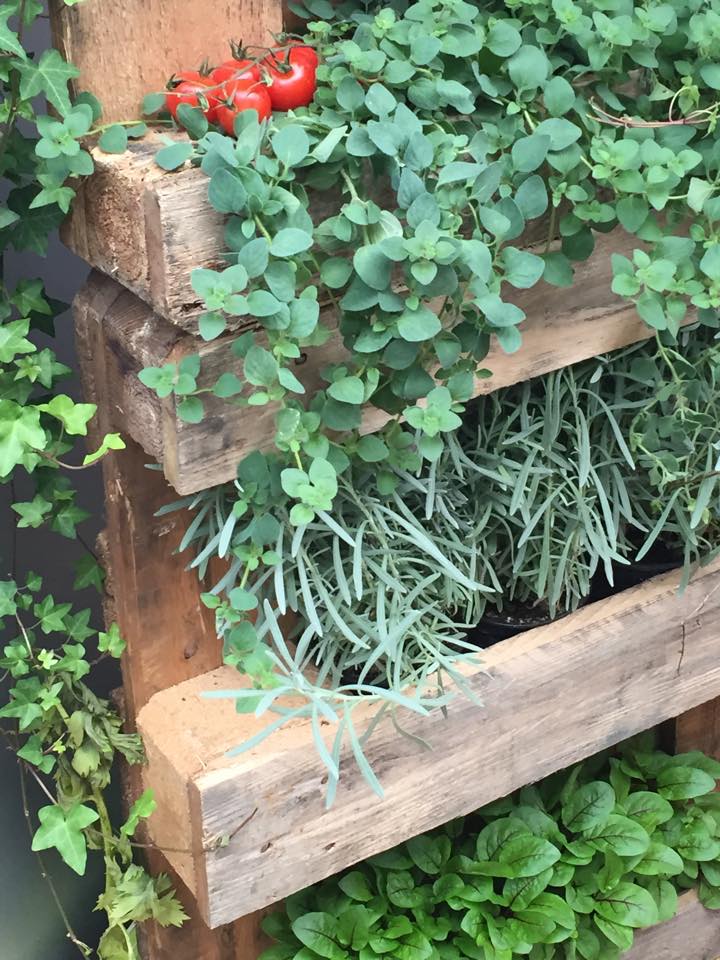 designbrabant's tweet photo. Cityfarming is een echte eyecatcher in #livinglab @Philips #ddw15 @dutchdesignweek https://t.co/sgxaOzLfao