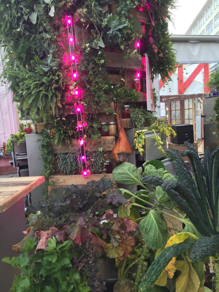 designbrabant's tweet photo. Cityfarming is een echte eyecatcher in #livinglab @Philips #ddw15 @dutchdesignweek https://t.co/sgxaOzLfao