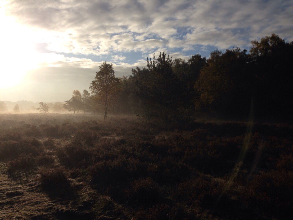 zonopzononder's tweet photo. Vanmorgen nog #bewolking en #mist in bos maar al snel liet de zon zich zien #wintertijd #zonopzononder #bomen https://t.co/W4Fp6XNbPF