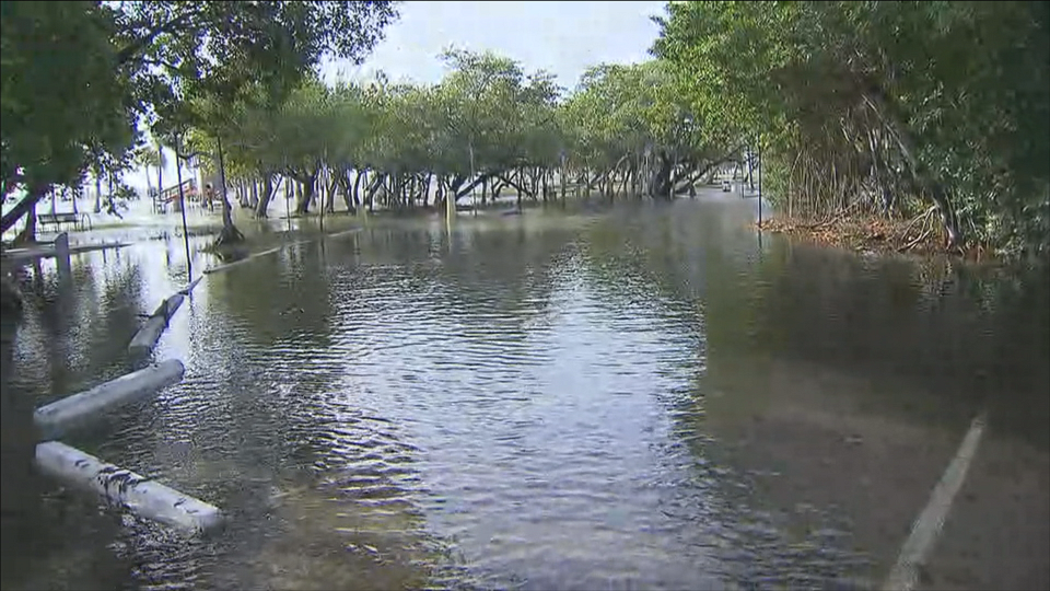 TIDAL TROUBLE: Matheson Hammock Park is flooded due to Sunday morning's high tide.bit.ly/1LVfmif?utm_me… https://t.co/FdIK5owswT