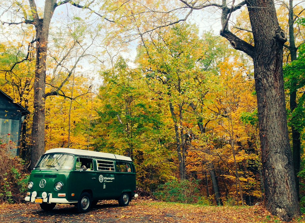 Winewagen's tweet photo. #fallinthefingerlakes #vwbus #winetour https://t.co/VA2ftBnzT7