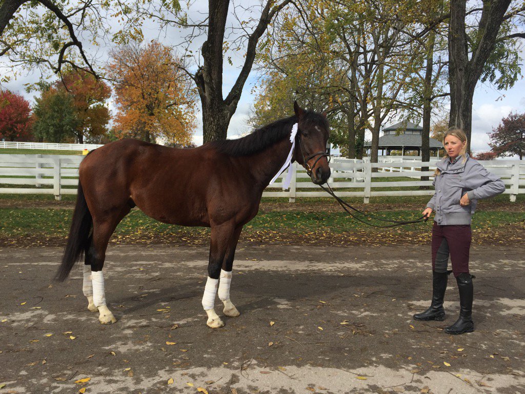 Tik Maynard Company tweet media