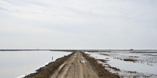 lemondefr's tweet photo. Réchauffement climatique : la Camargue, une fragile dentelle https://t.co/aC07IHhYqt https://t.co/gbyzMCoSLo