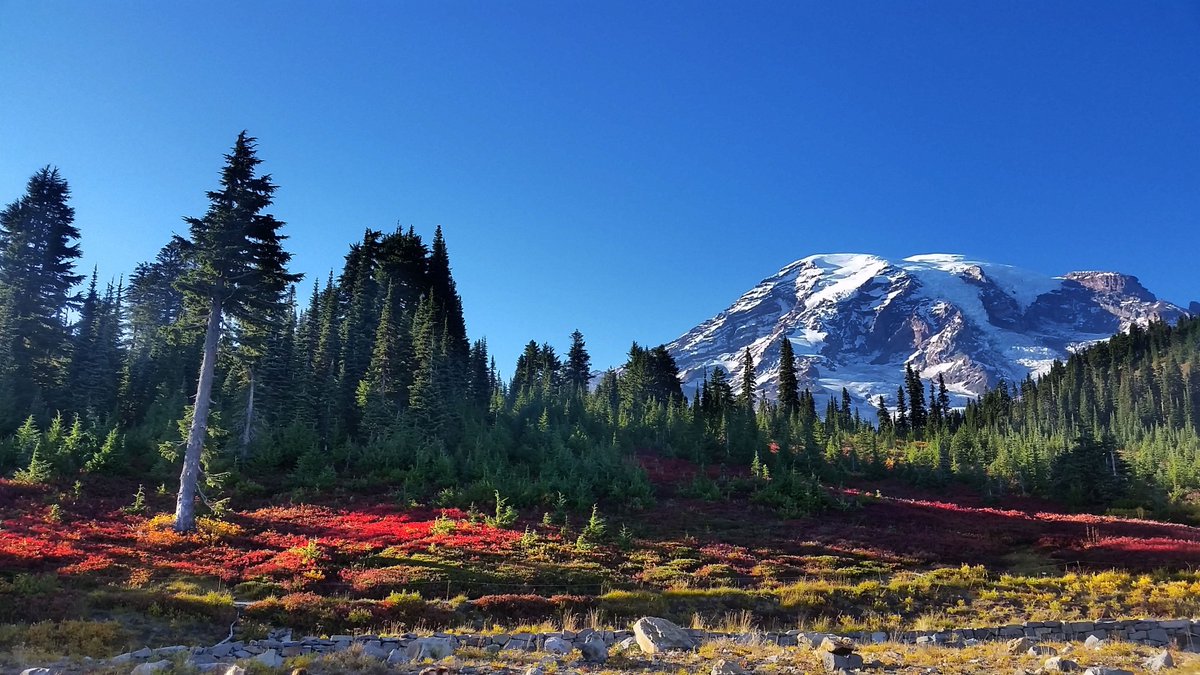 CopperCreek_Inn's tweet photo. Don't miss the Fall Colors at Mt Rainier. WOW! https://t.co/riOrZN6JDp