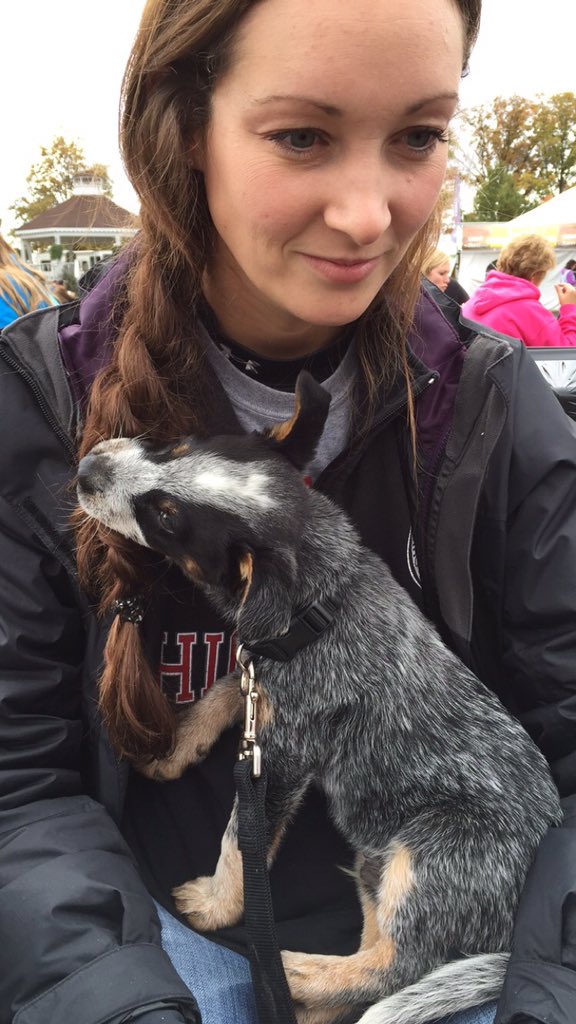 FratHoundPatt's tweet photo. New favorite toy #rope #hair #blueheeler https://t.co/SjwmtGOxCB