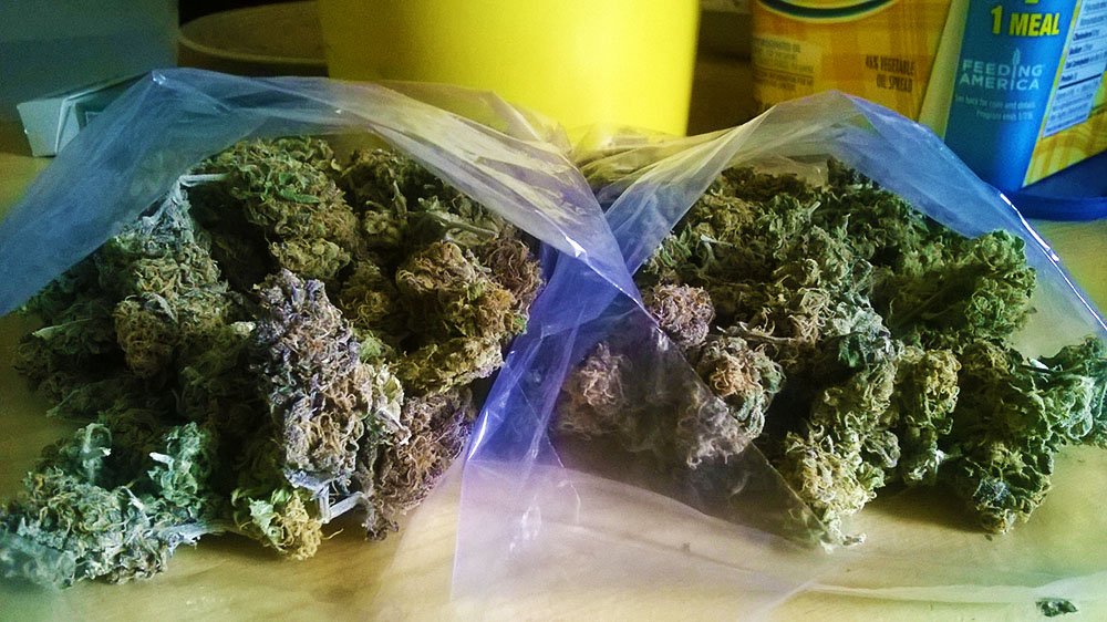 c21h30o2i's tweet photo. @growinggreen27 Got some more of this purp outdoor grown in the FLsun fresh #stillblazin #ridingdirty #purpledank https://t.co/BdWkYxrq7A