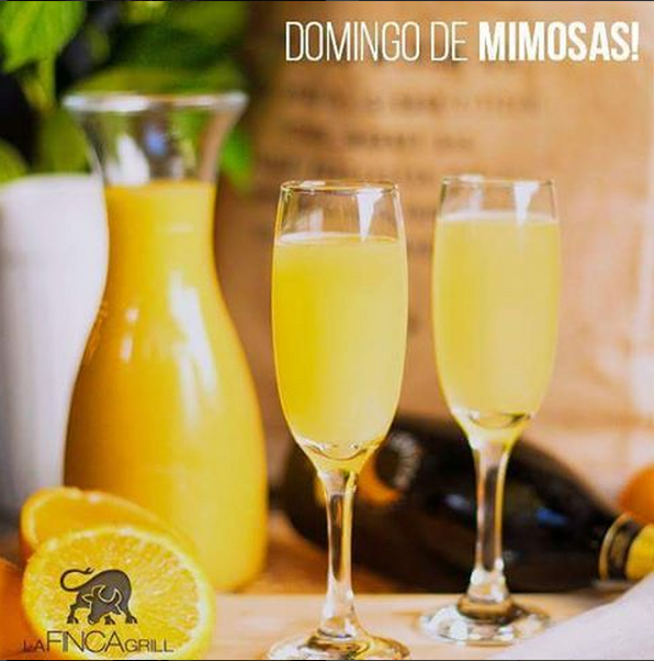 lafincagrill's tweet photo. ¡ M I M O S A S! Perfectas para acompañar con la comida y culminar la semana #LaFincaGrill https://t.co/FKdP8SA5l9