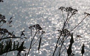 Called into being acourseoflove.com/called-into-be…