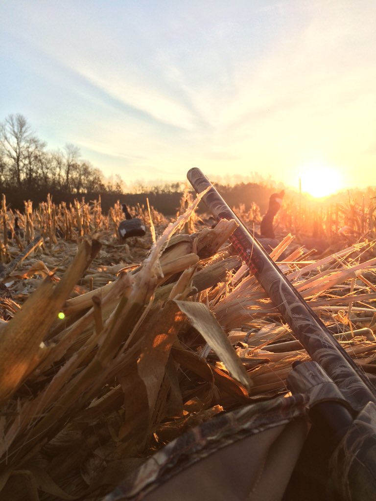 Beautiful morning chasing honkers!