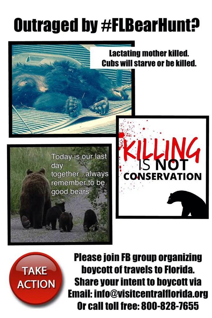 oceanshaman's tweet photo. .@Francesgracella Stop evil cruel mindless #Floruda Bear Hunt! #KillingIsNotConservation! https://t.co/KANanGDRzY