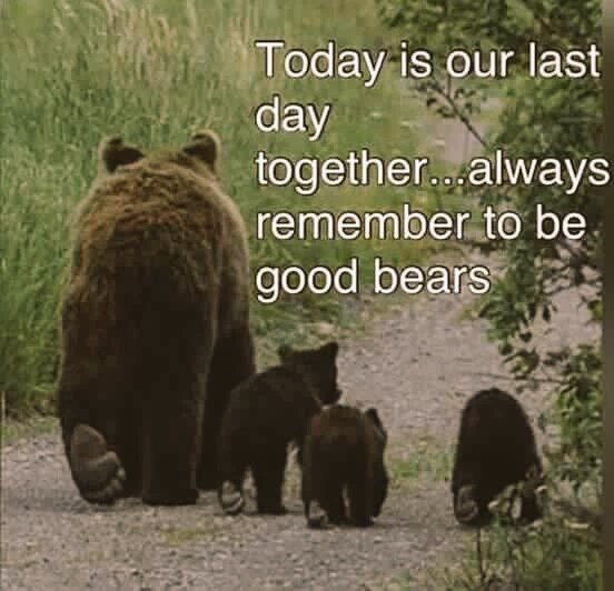 oceanshaman's tweet photo. .@Francesgracella Stop evil cruel mindless #Floruda Bear Hunt! #KillingIsNotConservation! https://t.co/KANanGDRzY