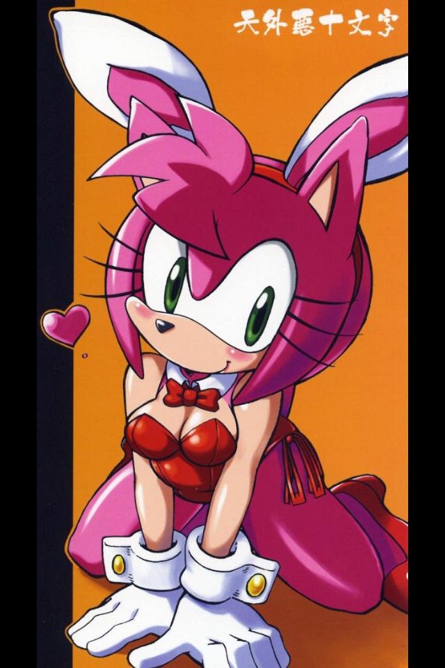 PinkbabeAmy's tweet image. Do guys what should I do werehog super or bunny~