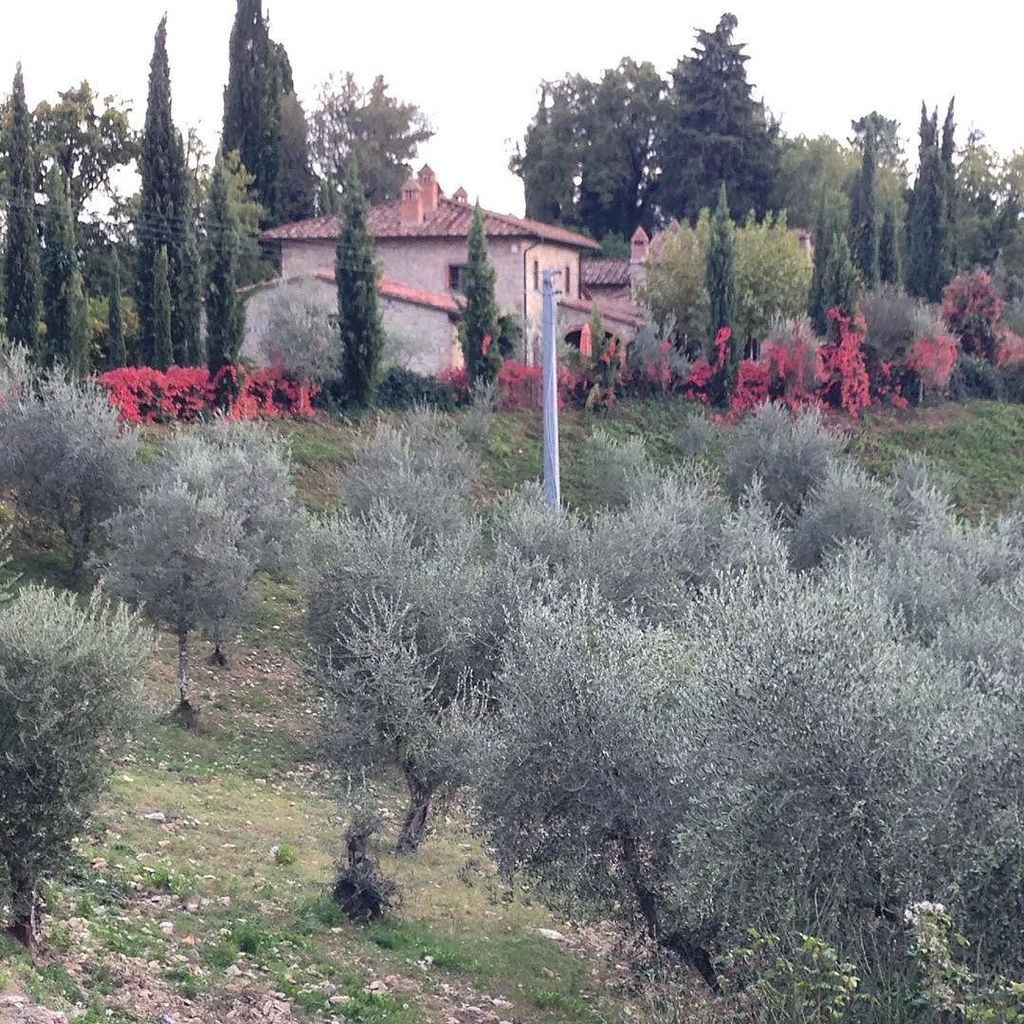 LoggiaGloria's tweet photo. InstaPic by millamollis: Bara ett stenkast från där vi bor #chianti #toscana #millamollis #vertine #gaioleinchianti… https://t.co/O7qFhxJbv1
