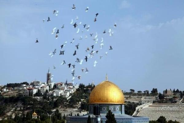 gazalnps's tweet photo. - شو أبعد عاصمة بالعالم ؟
- أكيد القدس
- ليش؟
- لأنو من 66 سنة بيحكوا "يا قدس إنّا قادمون" ولسّا ما وصلوا .

#القدس https://t.co/zhY244VAiF