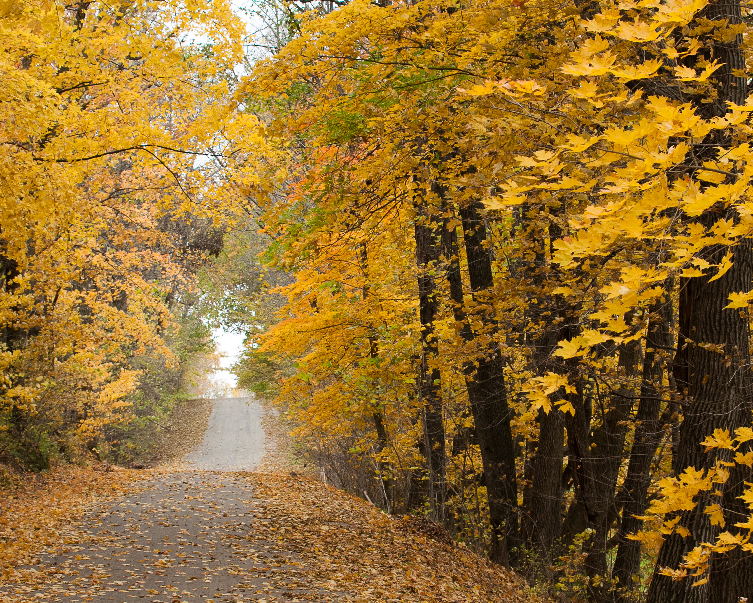 WisconsinDOT's tweet photo. WINNING PHOTO: Jan Day of #Rewey tops 'best fall scenic view" category in #WisDOT #WIRusticRoads photo contest. https://t.co/tDDxKwC2KE