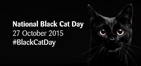 cats_cp's tweet photo. Only 2 days to go! #BlackCatDay Keep sharing your furry black beauties! #catsprotection https://t.co/cL8092cLI4