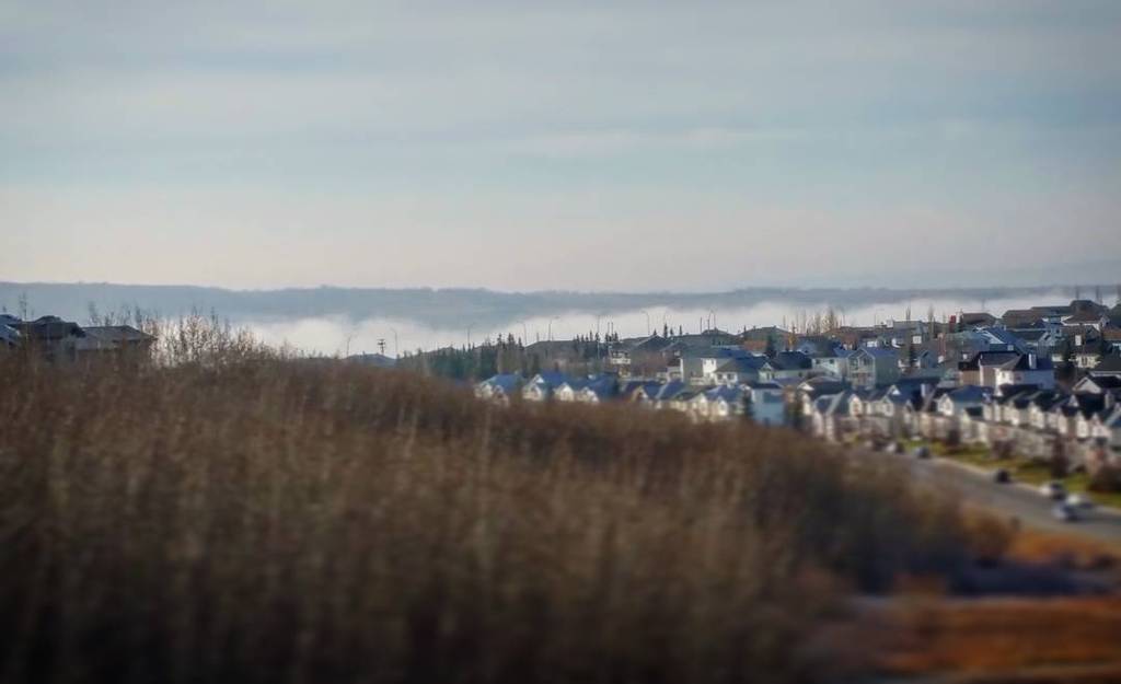 clasicmac's tweet photo. A crisp Sunday morning in #yyc Love the heavy fog in the river valley #fallshots #mobileph… https://t.co/GrYsmgZOa8 https://t.co/BNd1SUfgHo