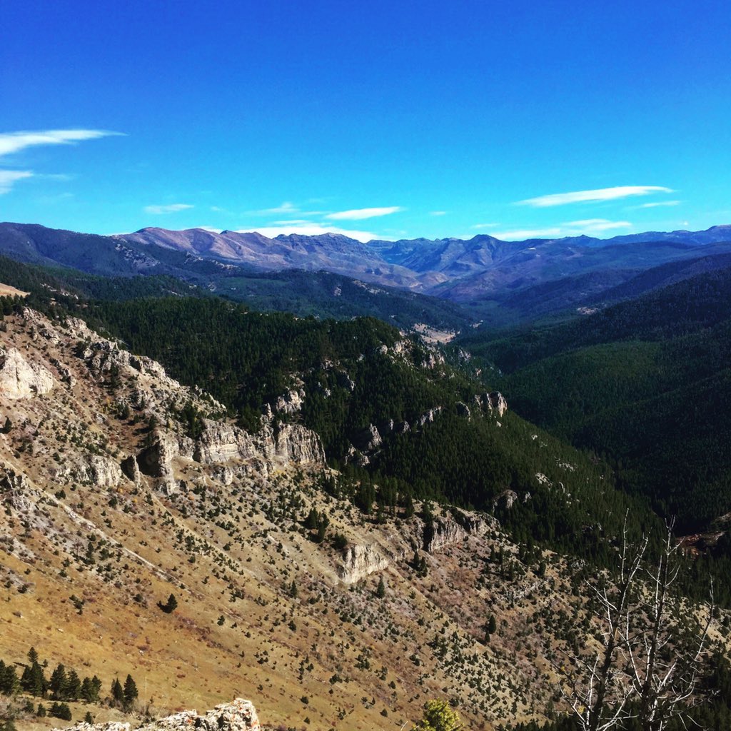 JC_Goodson's tweet photo. Another day in paradise https://t.co/3QOFchmMtV
