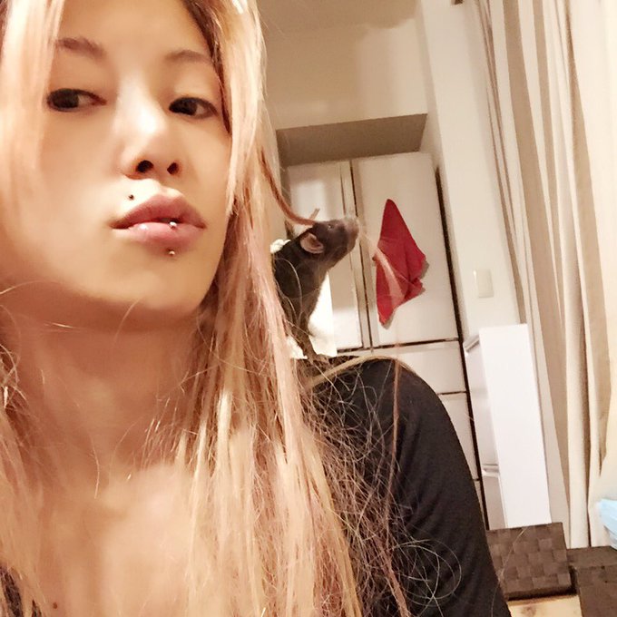 おネズミさん達が夜中に出せ出せ攻撃で小屋ガシャガシャガシャガシャー！！！！やるよって、夜中の部屋んぽ。。私の事も登れるアスレチックだと思っているっぽい笑 あと、口のピアスを異物と思っているのか噛み取ろうとします笑