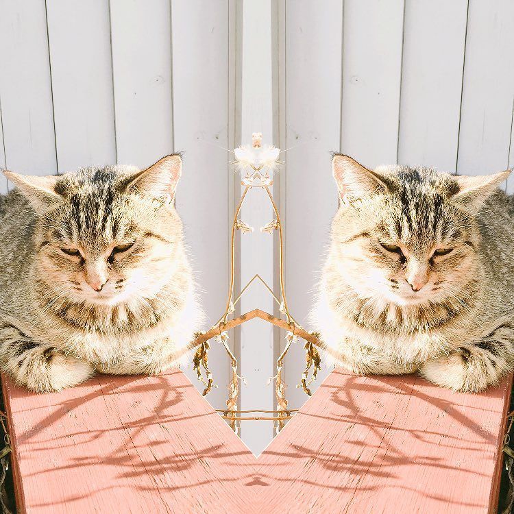 PhotoFlipper's tweet photo. 트윈야옹이😽
#아날로그도쿄 #flipperapp by https://t.co/2yFTScRSJ1 https://t.co/UVDbngaJyi