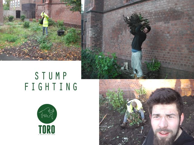 TORO Services (@TOROremoval) / Posts / X