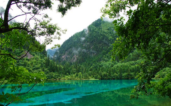 озеро пяти цветков в цзючжайгоу. цзючжайгоупятицветный пруд. долина цзючжайгоу китай. море пяти цветов. озеро пяти цветков.