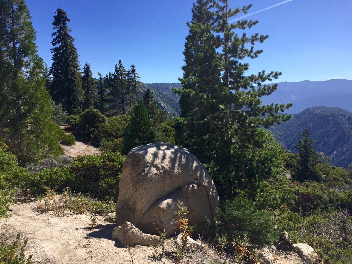 activeharmony's tweet image. G takes on his first, true mountain #ultra at @Kodiak1001's 50-Miler last month! bit.ly/1Mdkhqr