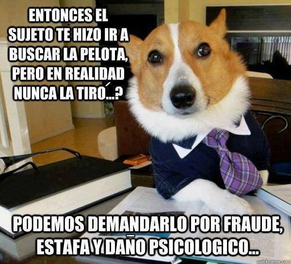 somosbioguia's tweet image. #Domigno #HumorPerruno