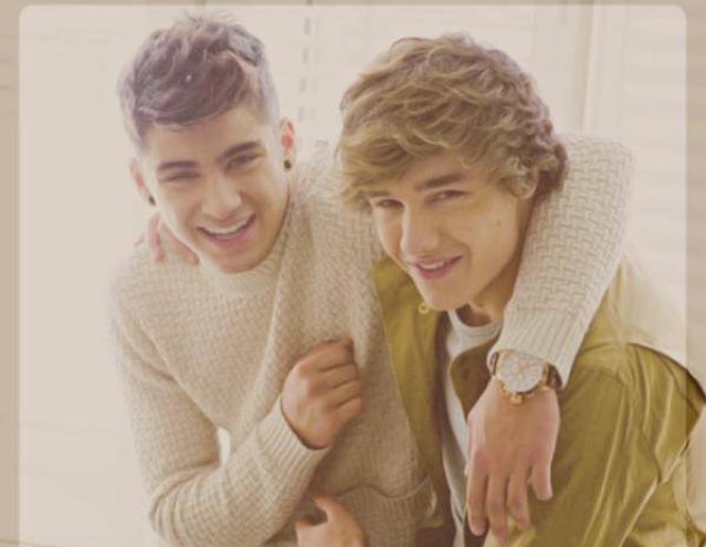 hshoranm's tweet photo. @choosezaynbr #EMABiggestFans1D https://t.co/xmy5g5V0ap