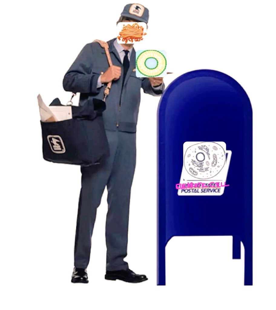 itstheGOLGIhour's tweet photo. Just your friendly cellular mail man https://t.co/kAyRdzwWkX
