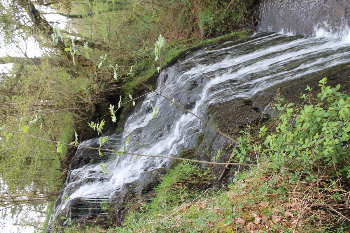 TheWelshWitches's tweet image. Wales in autumn  #magicforeveryone. Wilderness is calming
