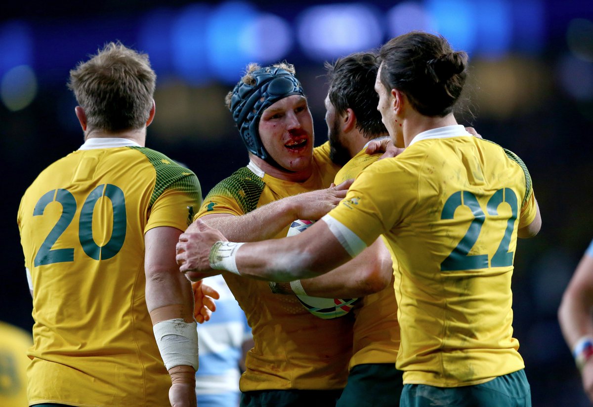 Wallabies tweet media