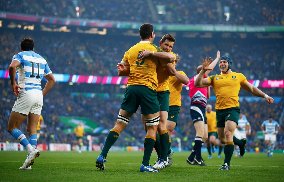 Wallabies tweet media