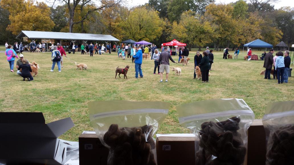 Visiting with many wonderful folks at the Great Golden Gathering!  #norain #toomuchfun
