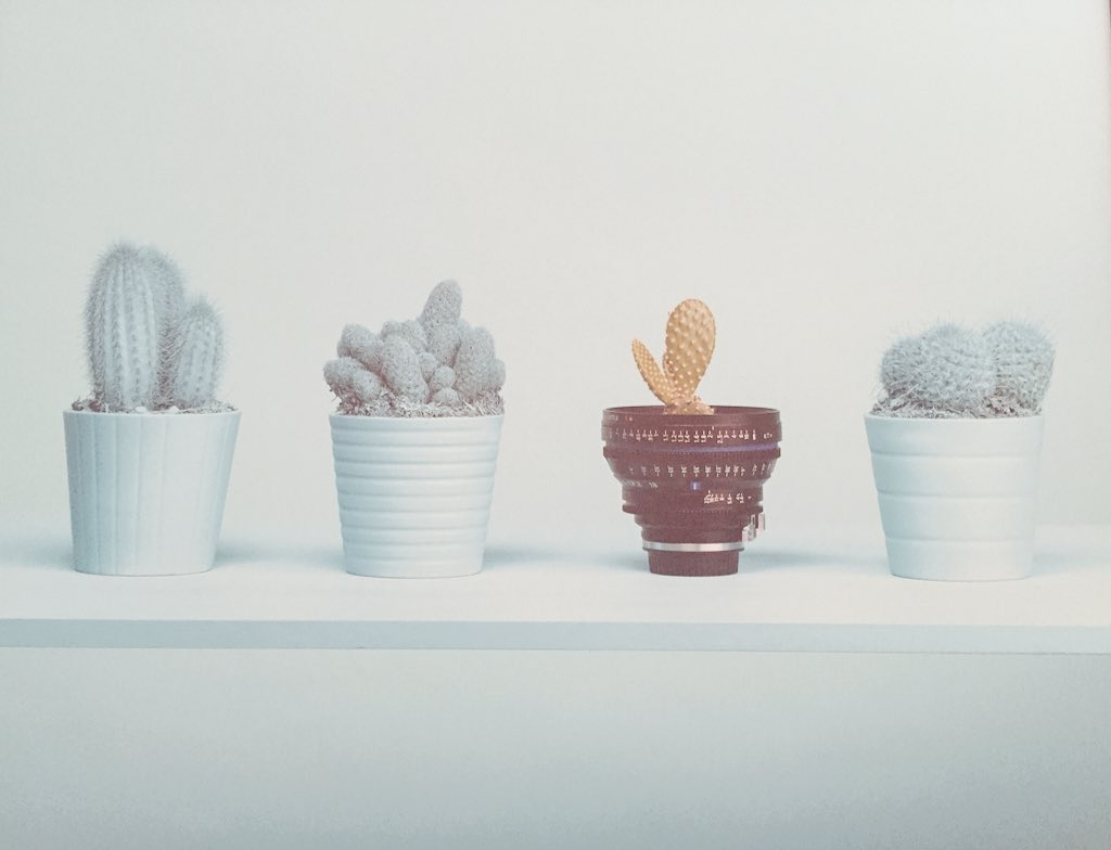 elisa_ponti's tweet photo. #Photoshow2015 https://t.co/mxSsDTj4uJ
