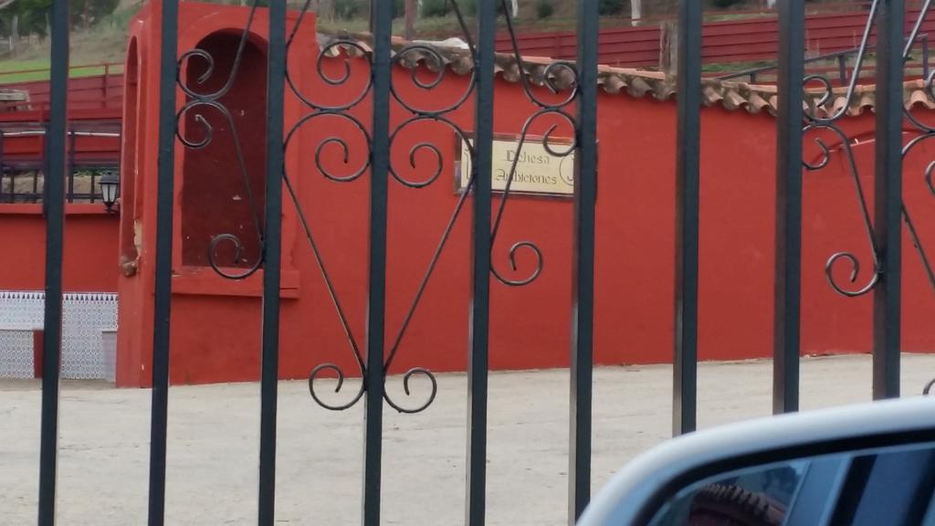 felixtrilli's tweet photo. Finde en dehesa ambiciones cadiz https://t.co/5pIfk9Tr81