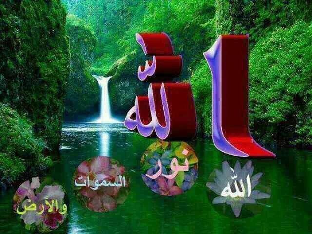 g_frind's tweet photo. @DjihadMustapha https://t.co/tVHaGhTi7M